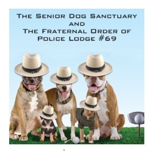 Troopers & Tails XIV - logo